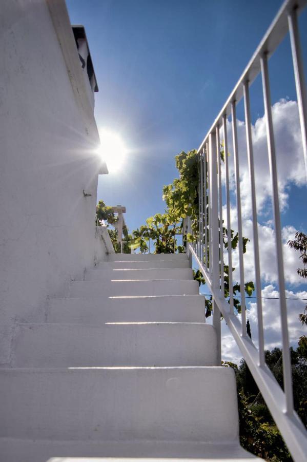 Villa Tommasina Carovigno Buitenkant foto