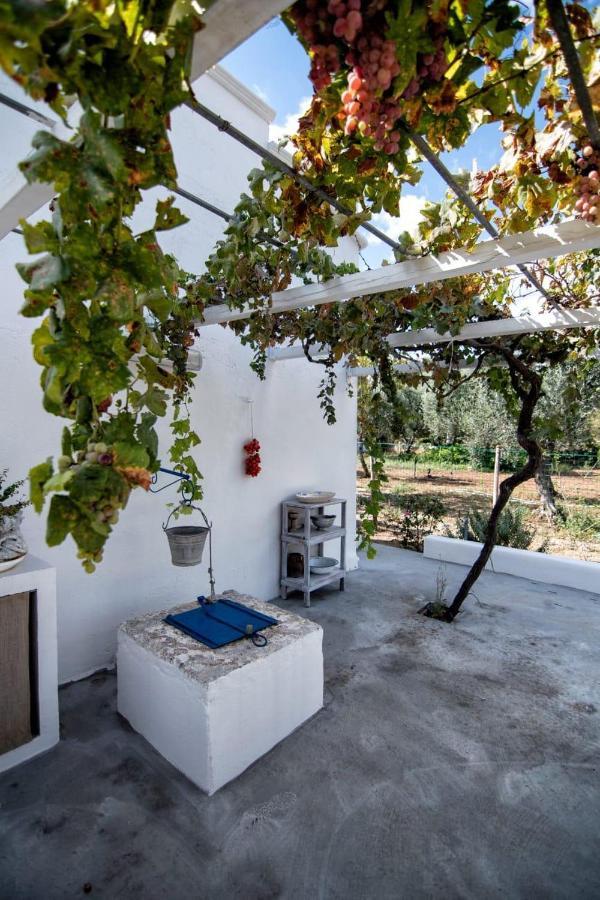 Villa Tommasina Carovigno Buitenkant foto